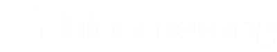Bloomerang Logo
